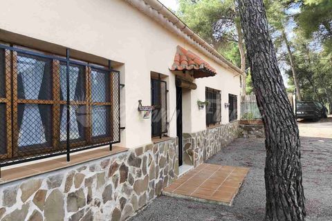 Landejendom i Almansa, Albacete, Almansa - € 235.000 | Ref: SF0548 - foto 18